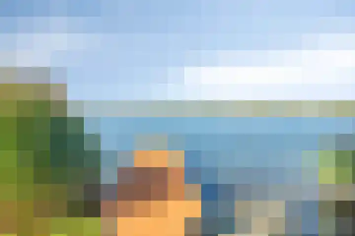 Schutteheide 1 284 Heel thumbnail 39