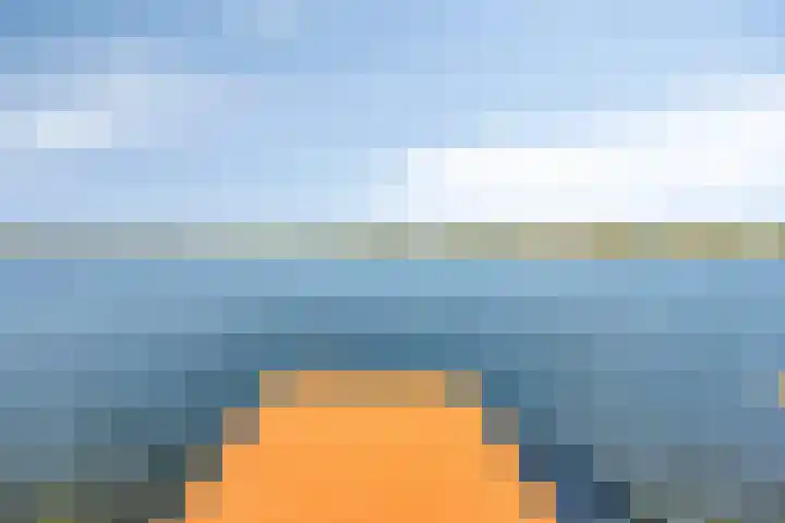 Schutteheide 1 284 Heel thumbnail 40