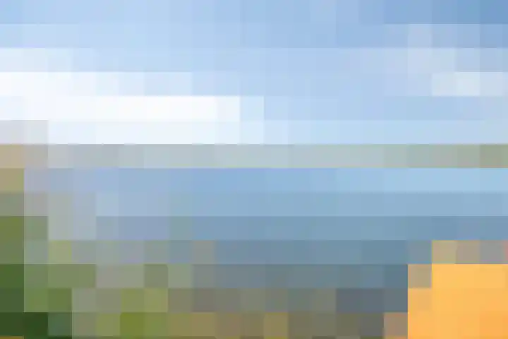 Schutteheide 1 284 Heel thumbnail 41