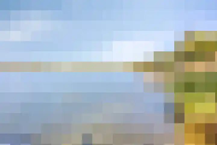 Schutteheide 1 284 Heel thumbnail 42