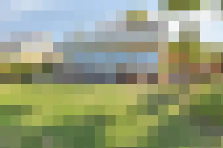 Schutteheide 1 284 Heel thumbnail 45