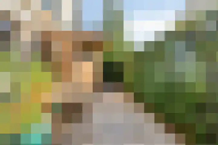 Schutteheide 1 284 Heel thumbnail 46