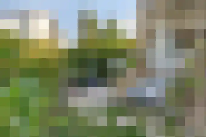 Schutteheide 1 284 Heel thumbnail 47