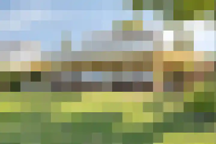 Schutteheide 1 284 Heel thumbnail 48