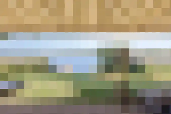 Schutteheide 1 284 Heel thumbnail 49