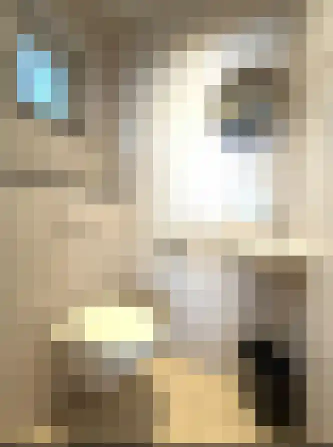 Schutteheide 1 289 Heel thumbnail 12