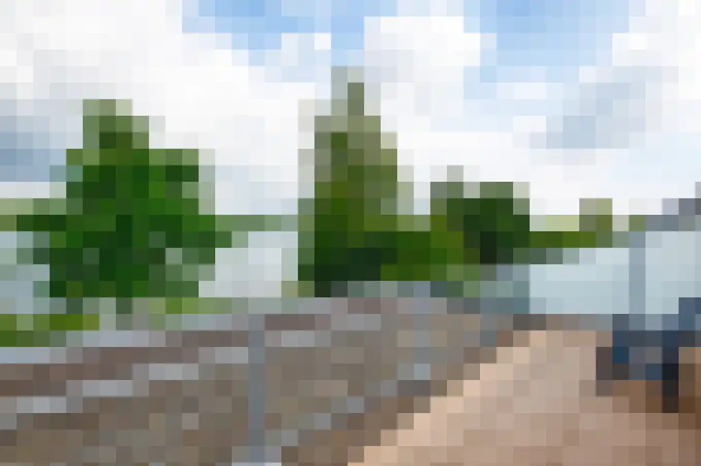 Schutteheide 1 289 Heel thumbnail 17