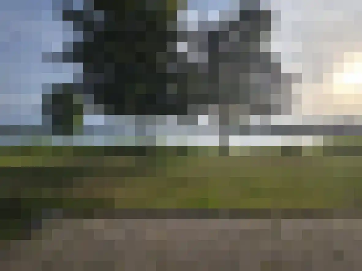 Schutteheide 1 289 Heel thumbnail 20