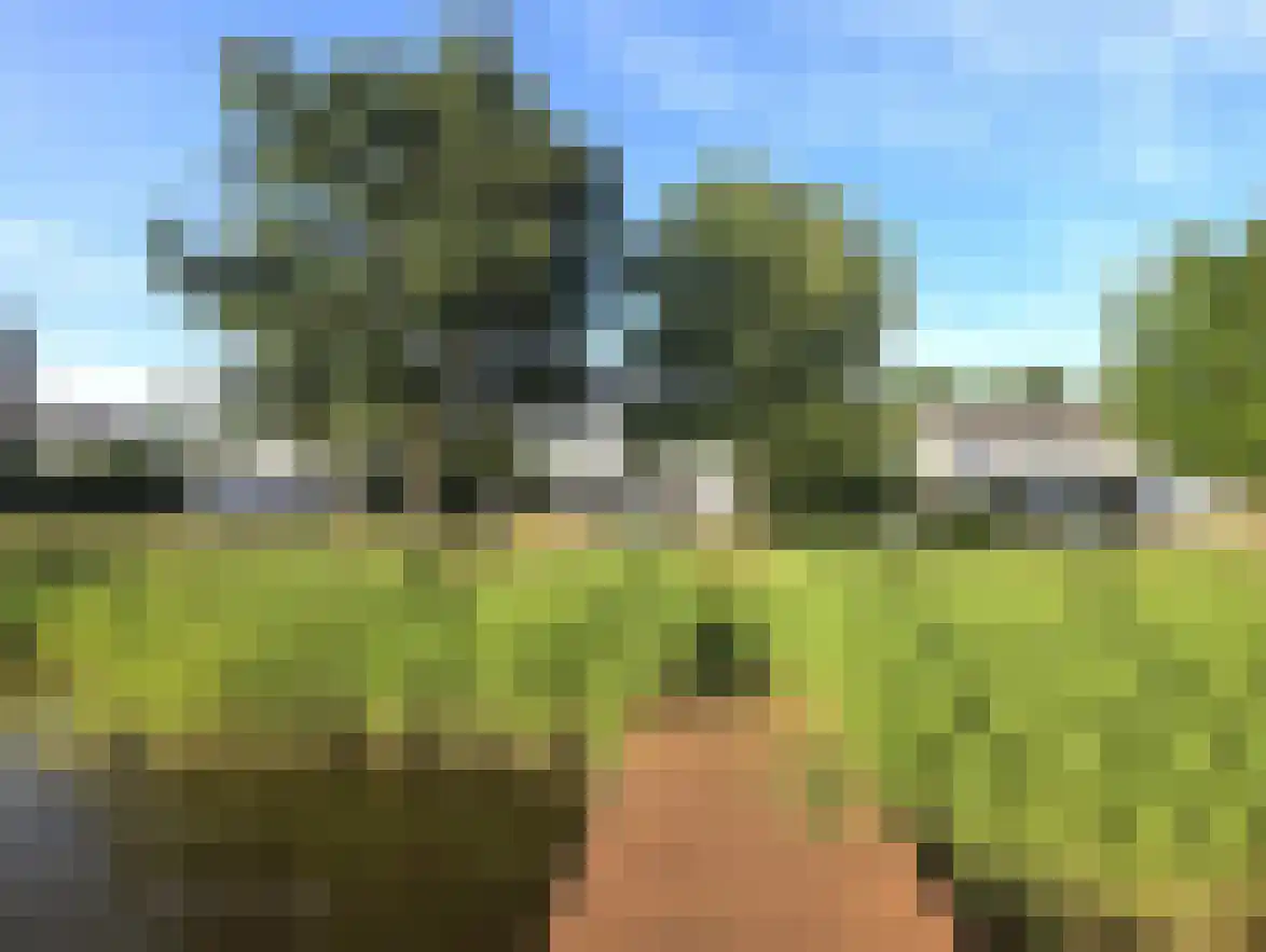 Schutteheide 1 289 Heel thumbnail 5