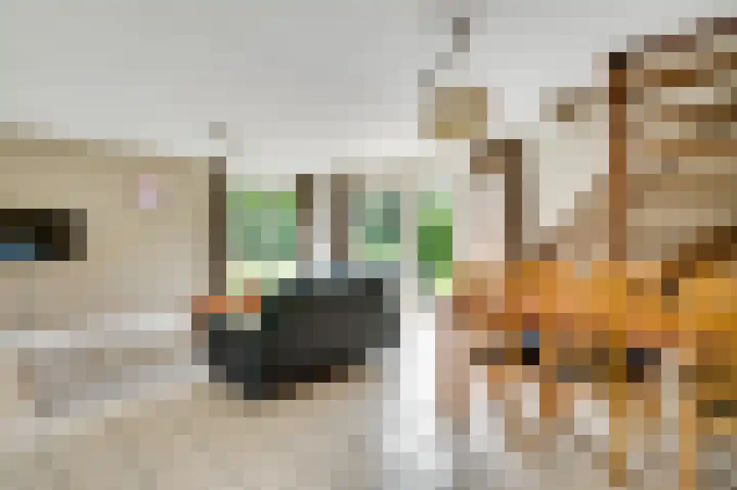 Schutteheide 1 3 Heel thumbnail 4