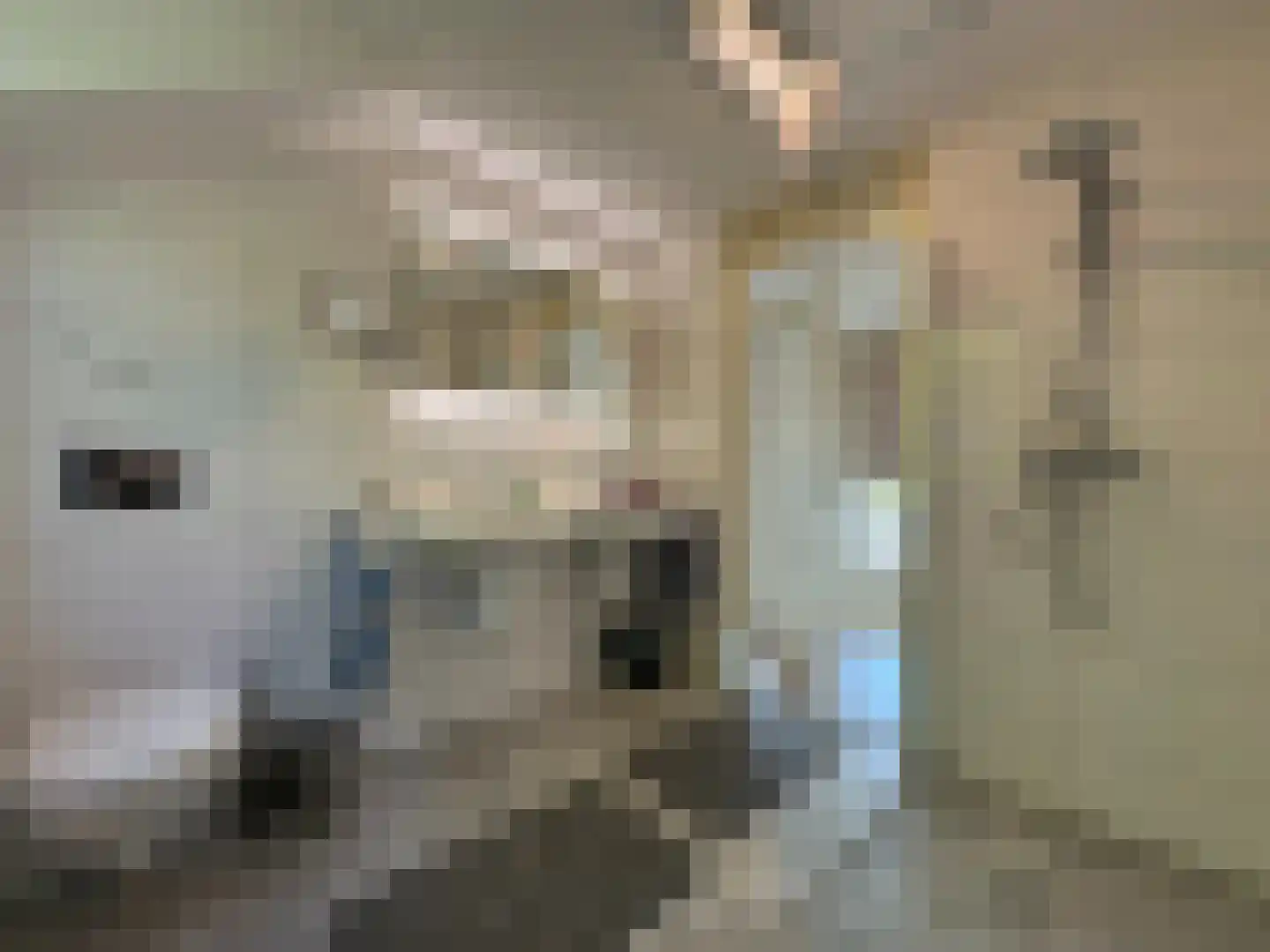 Schutteheide 1 303 Heel thumbnail 10