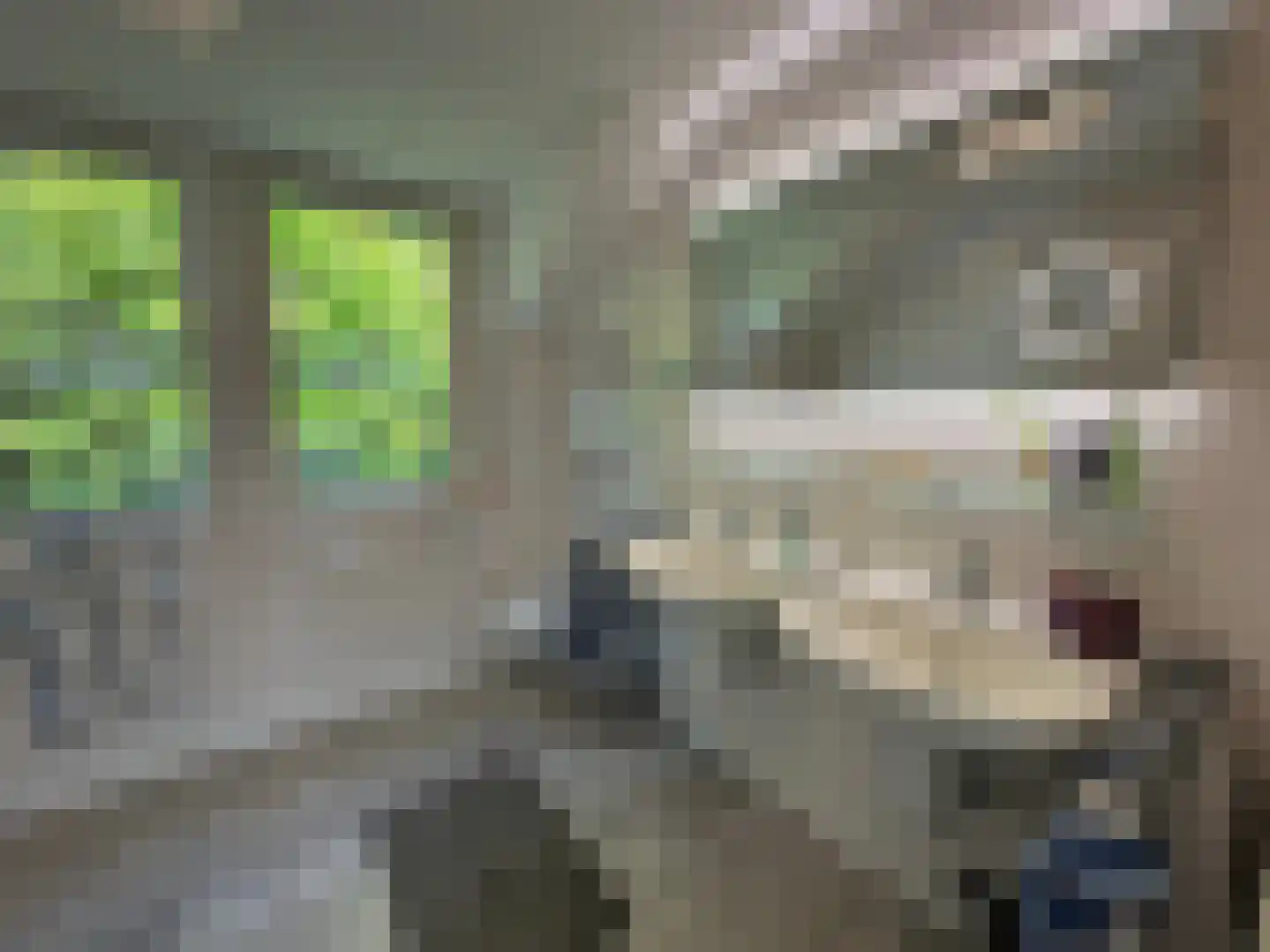 Schutteheide 1 303 Heel thumbnail 9