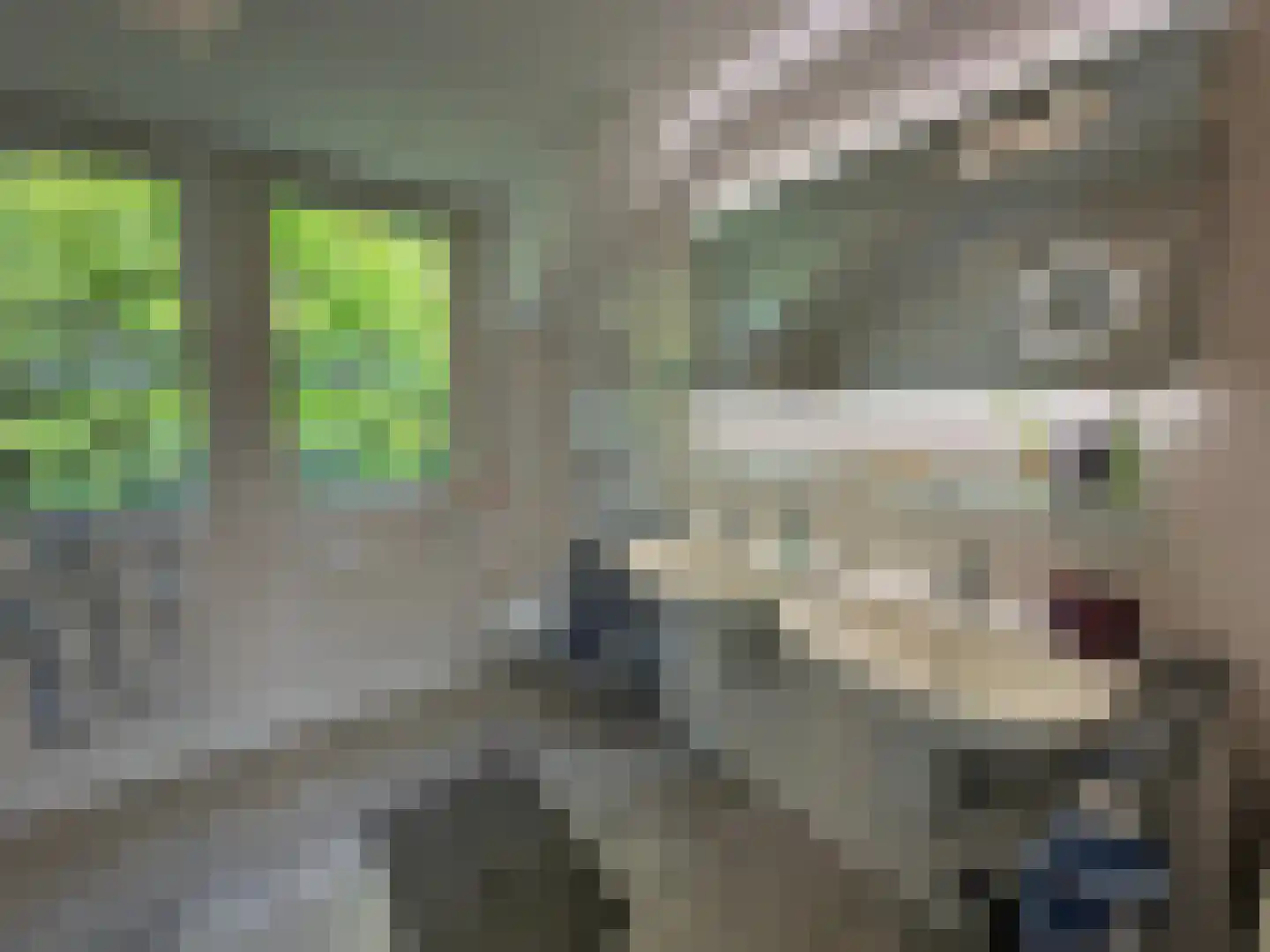 Schutteheide 1 303 Heel thumbnail 9