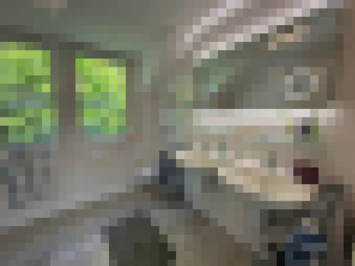 Schutteheide 1 303 Heel thumbnail 9