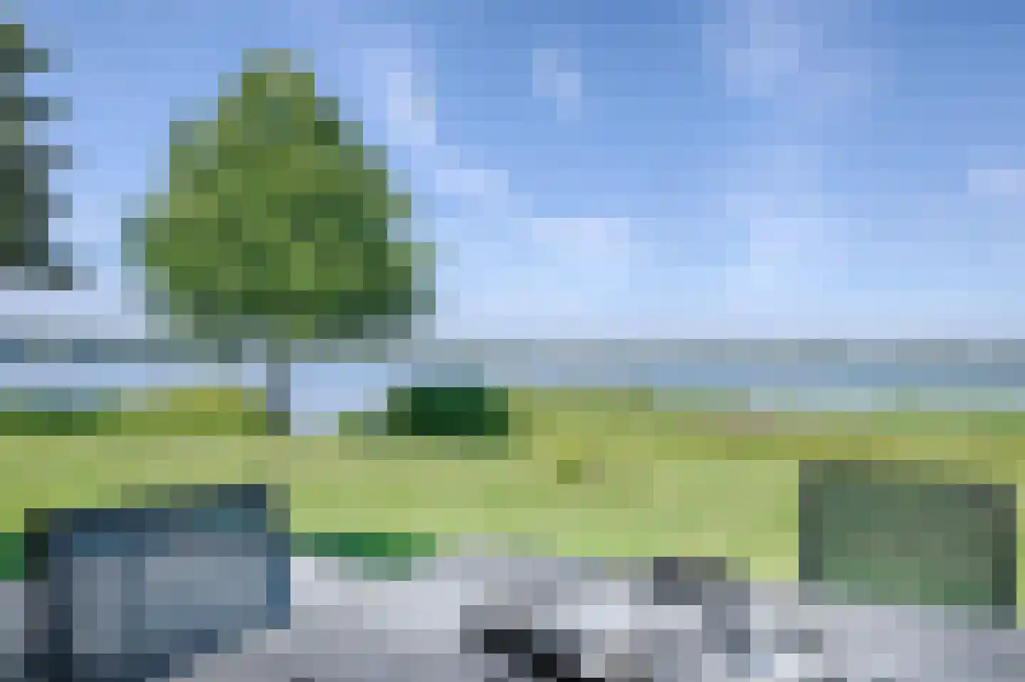 Schutteheide 1 323 Heel thumbnail 9