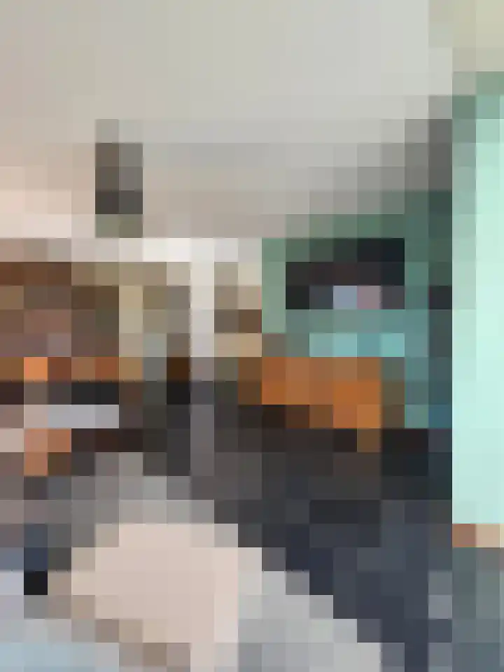 Schutteheide 1 328 Heel thumbnail 10