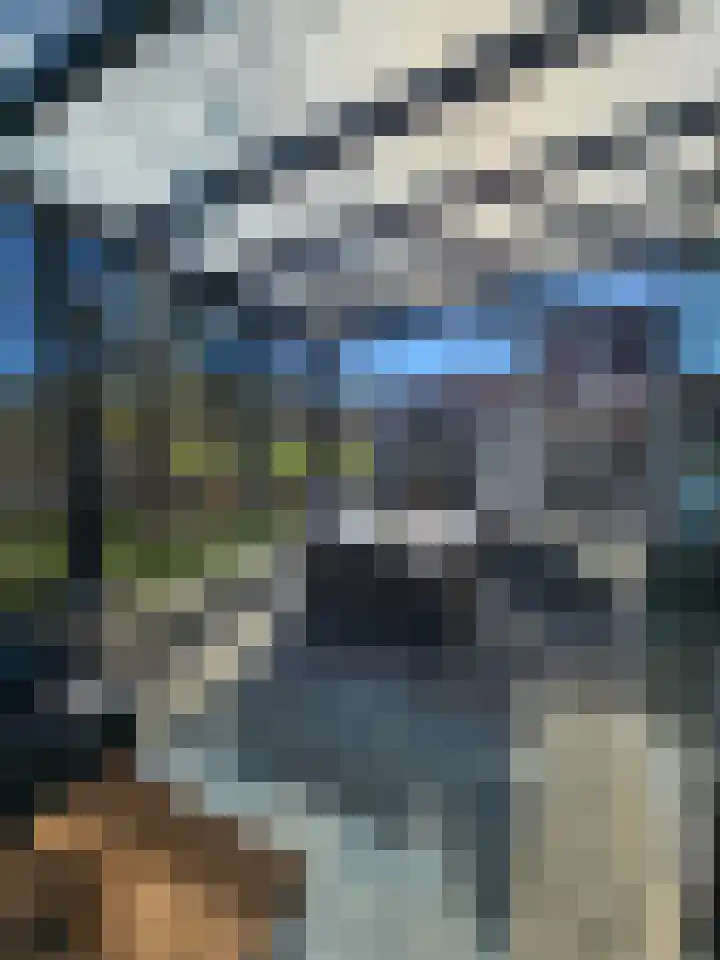 Schutteheide 1 328 Heel thumbnail 12