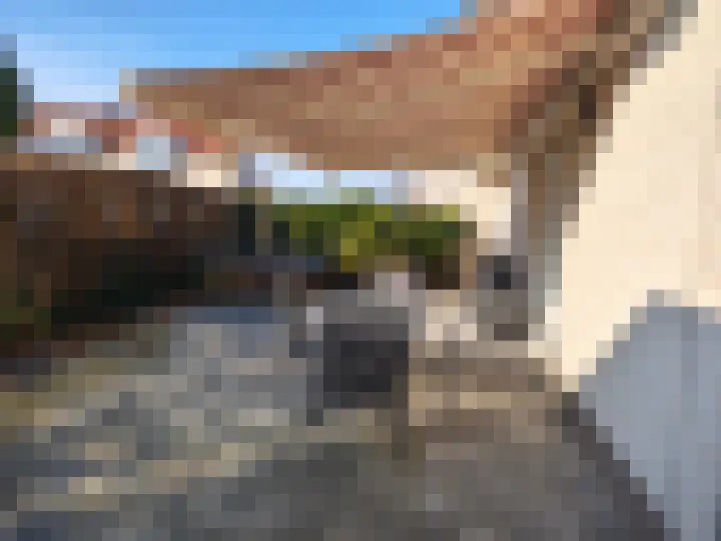 Schutteheide 1 328 Heel thumbnail 15