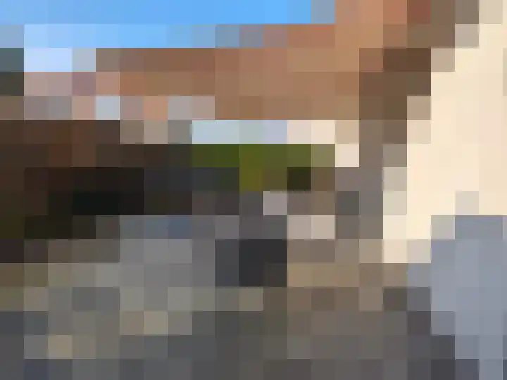 Schutteheide 1 328 Heel thumbnail 15