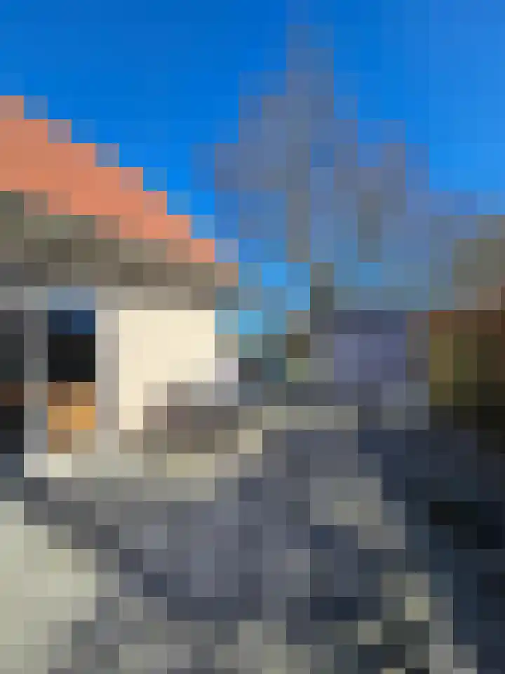 Schutteheide 1 328 Heel thumbnail 28