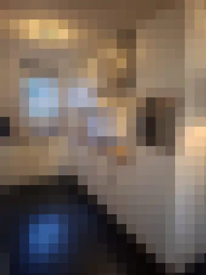 Schutteheide 1 329 Heel thumbnail 7