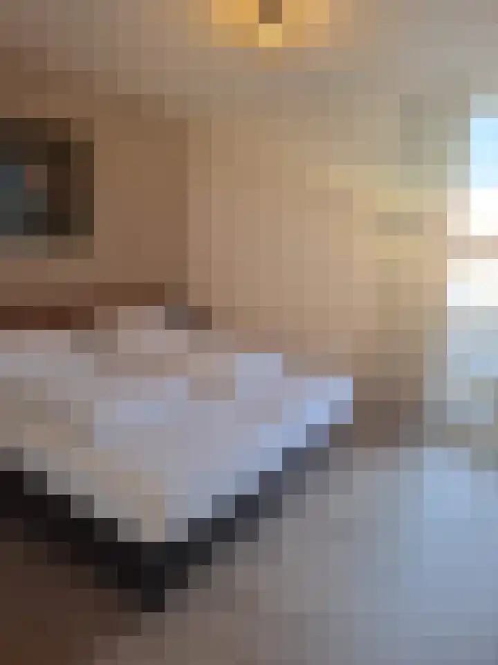 Schutteheide 1 329 Heel thumbnail 8