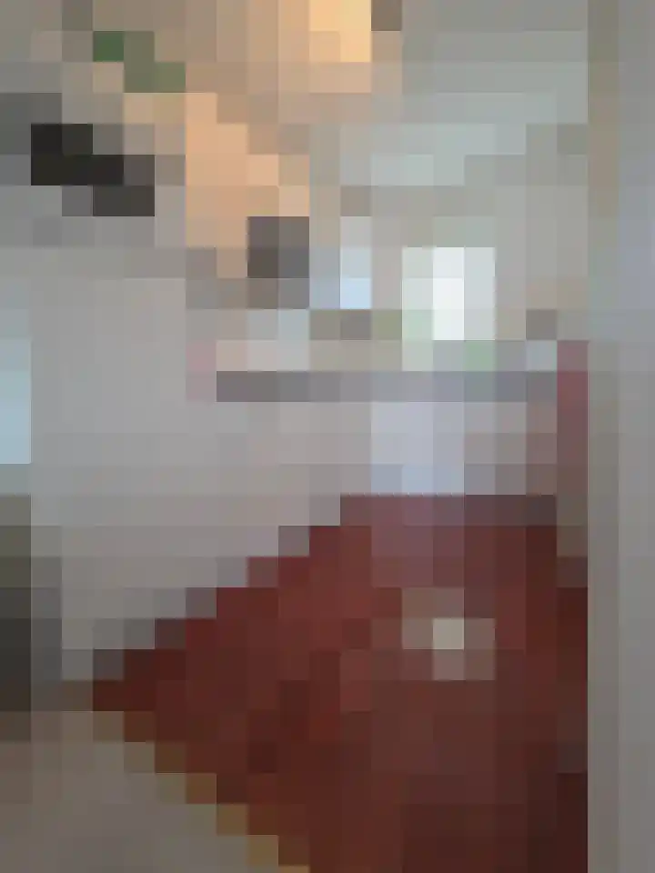 Schutteheide 1 36 Heel thumbnail 6