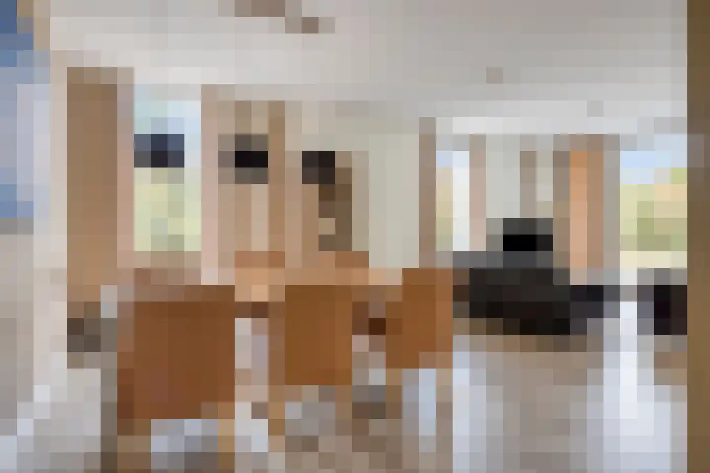 Schutteheide 1 370 Heel thumbnail 11