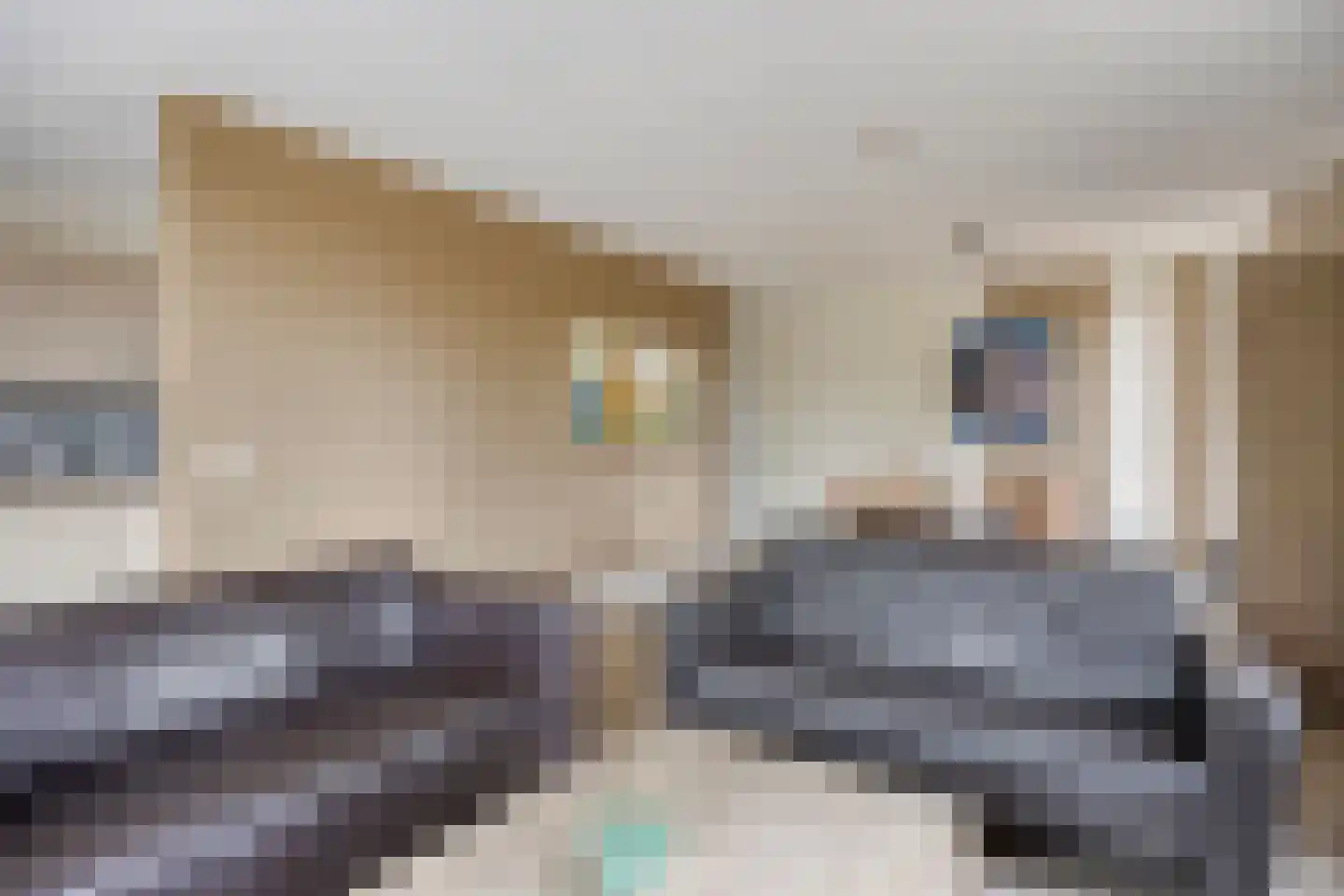 Schutteheide 1 370 Heel thumbnail 15
