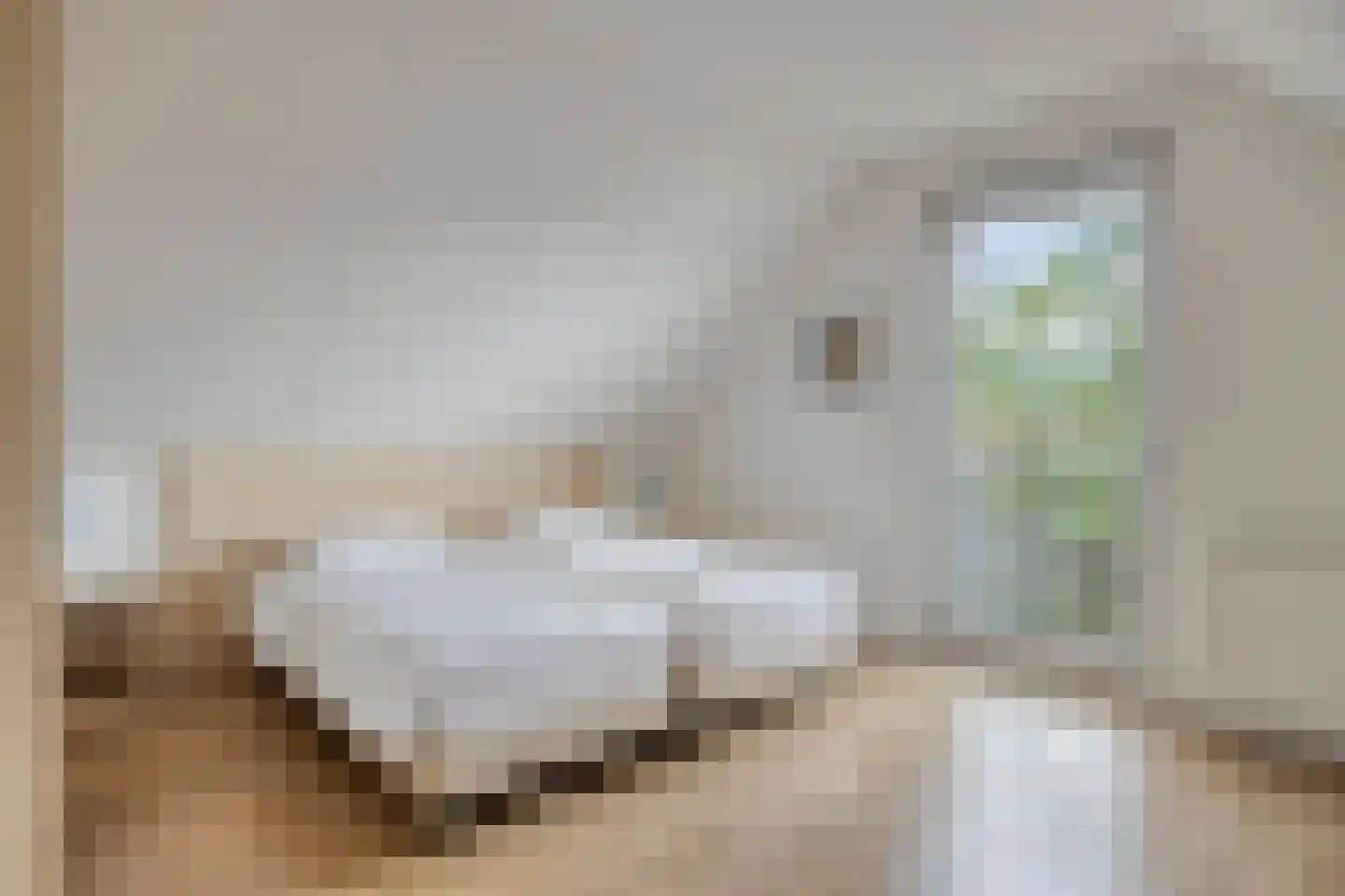 Schutteheide 1 370 Heel thumbnail 24