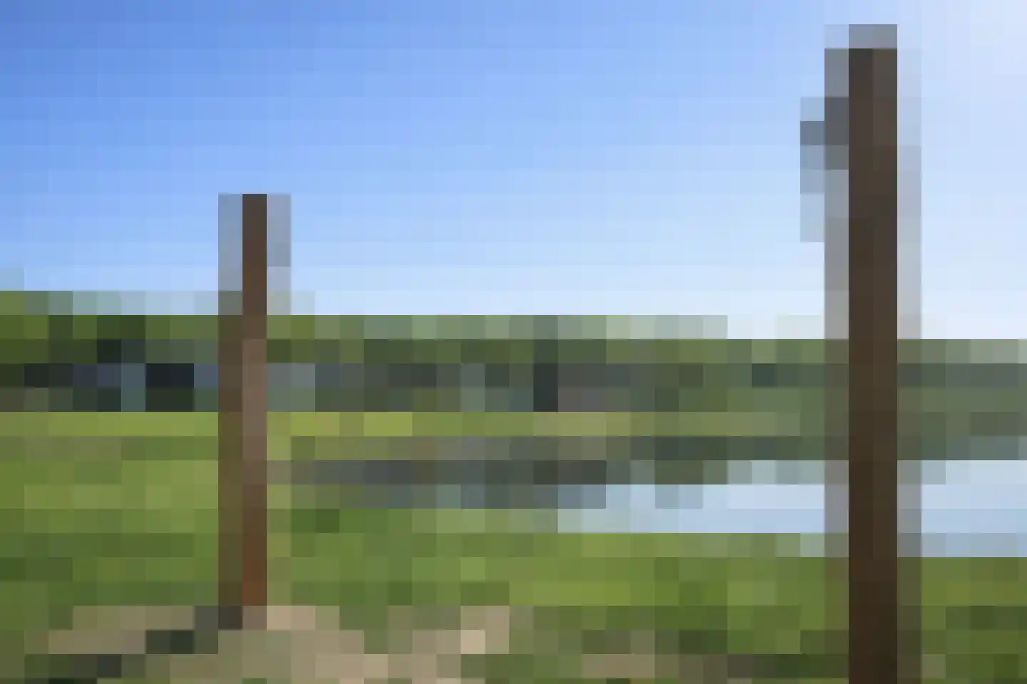 Schutteheide 1 370 Heel thumbnail 40