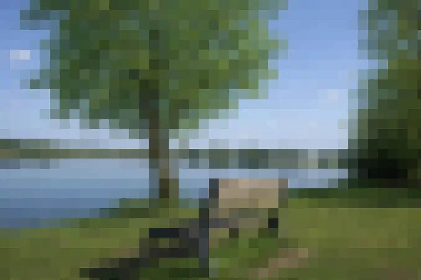 Schutteheide 1 370 Heel thumbnail 43