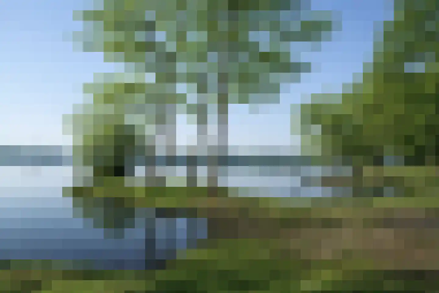 Schutteheide 1 370 Heel thumbnail 45