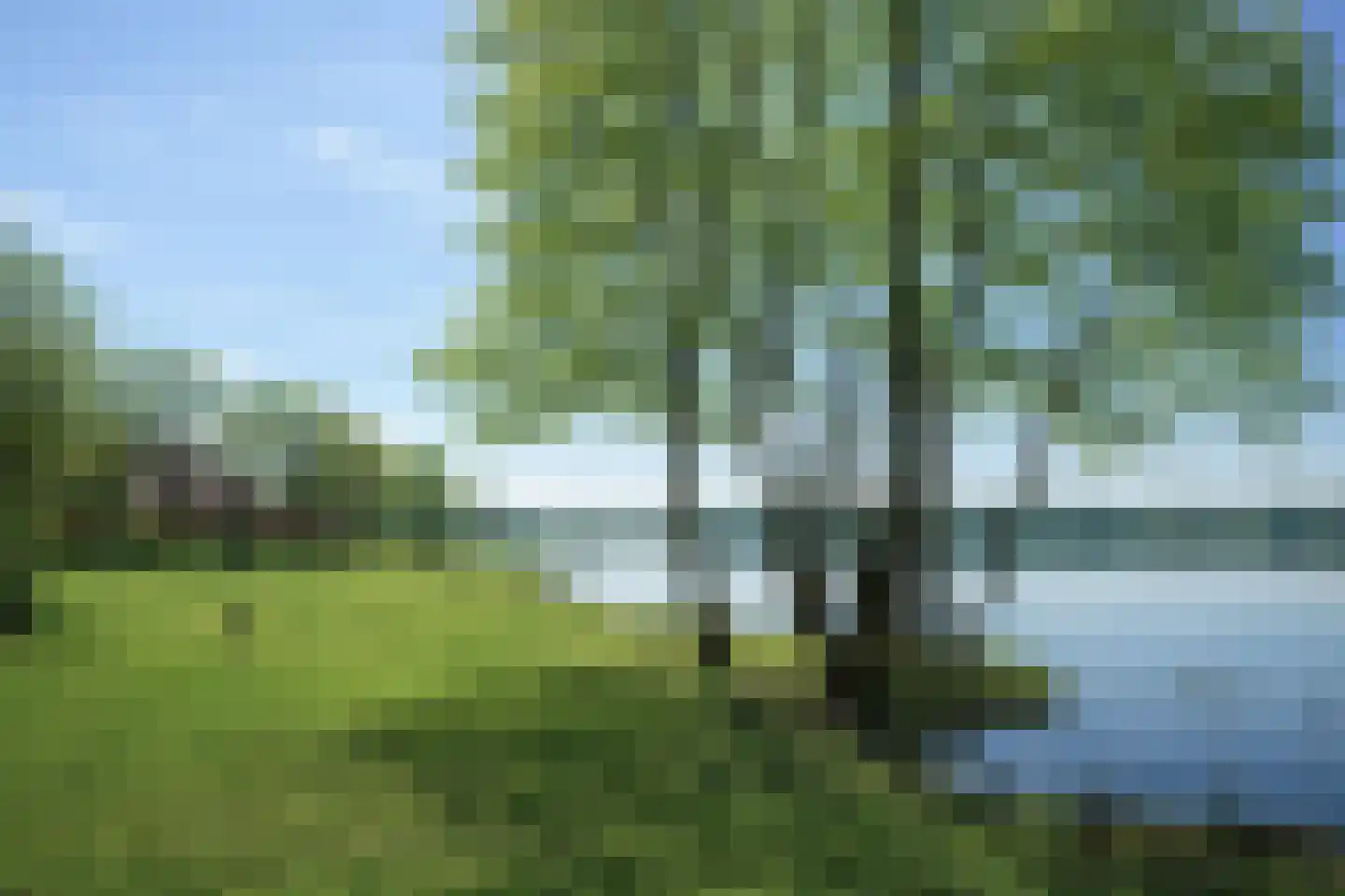Schutteheide 1 370 Heel thumbnail 46