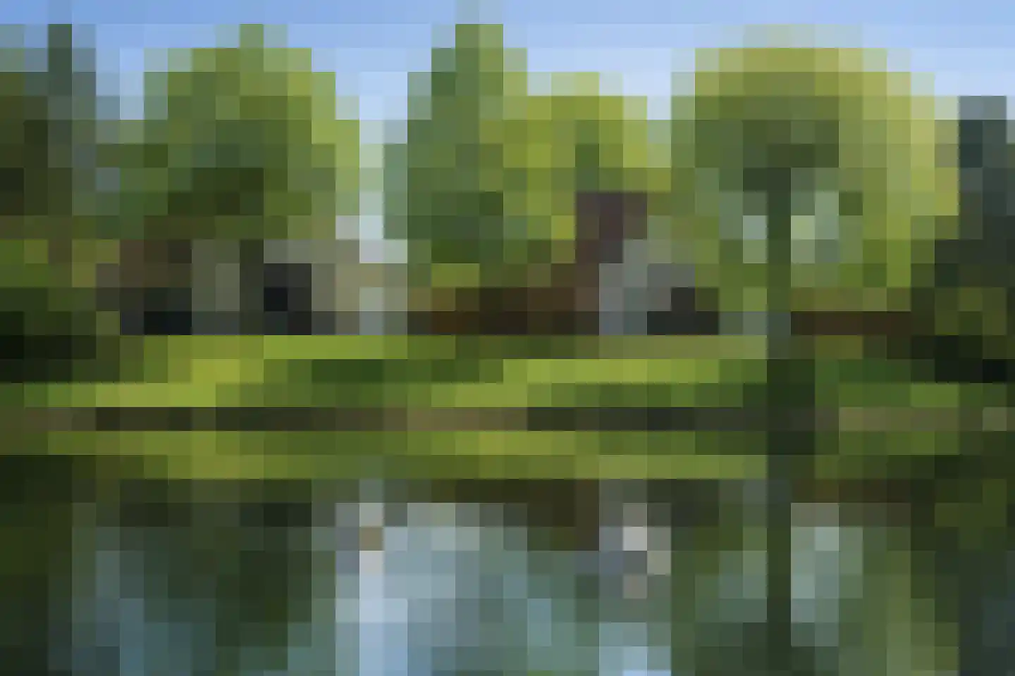 Schutteheide 1 370 Heel thumbnail 47