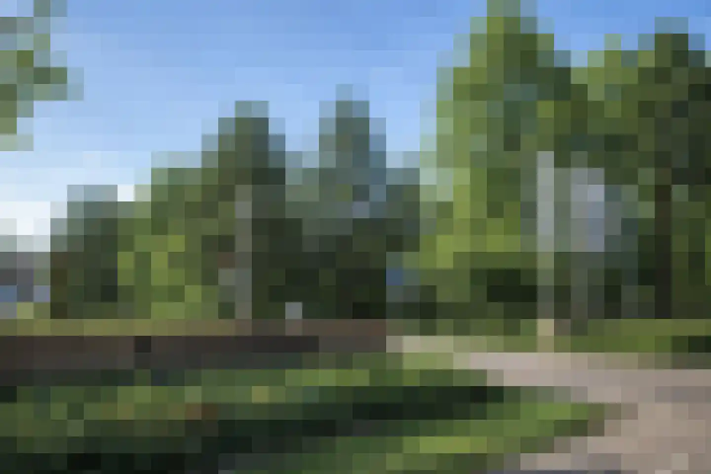 Schutteheide 1 370 Heel thumbnail 5