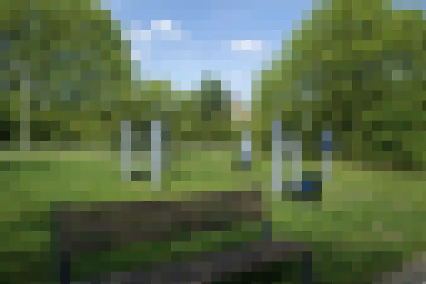 Schutteheide 1 370 Heel thumbnail 50