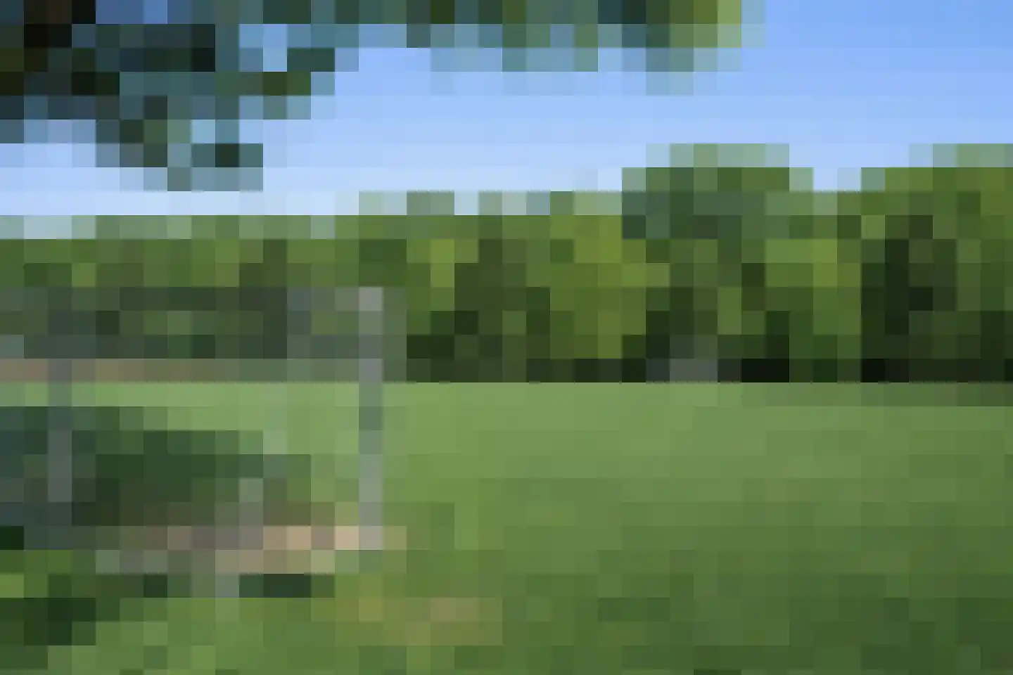 Schutteheide 1 370 Heel thumbnail 51