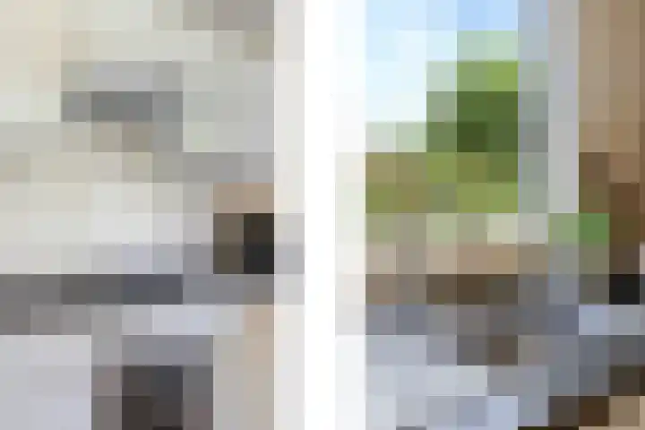 Schutteheide 1 4 Heel thumbnail 15