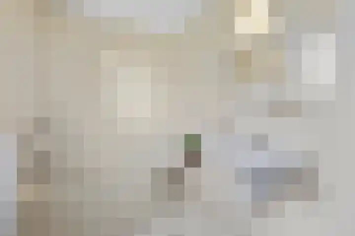 Schutteheide 1 4 Heel thumbnail 21