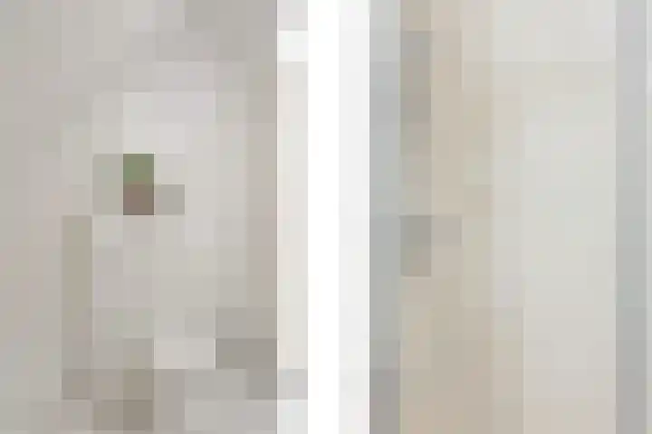 Schutteheide 1 4 Heel thumbnail 22