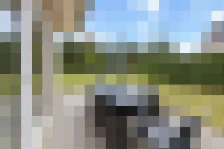 Schutteheide 1 4 Heel thumbnail 30