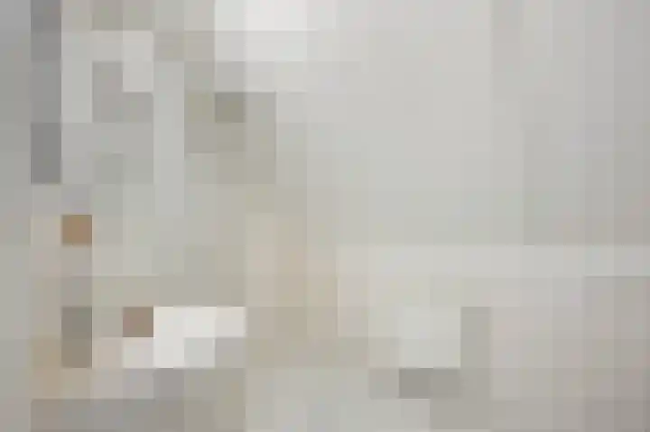 Schutteheide 1 4 Heel thumbnail 32