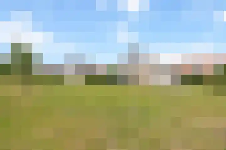 Schutteheide 1 4 Heel thumbnail 34
