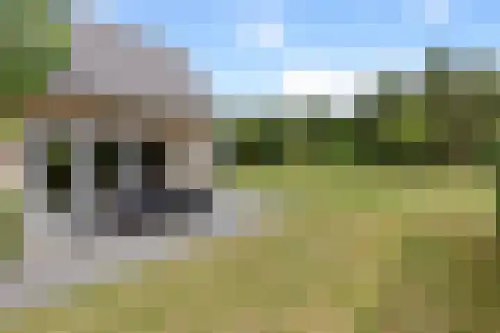 Schutteheide 1 4 Heel thumbnail 4