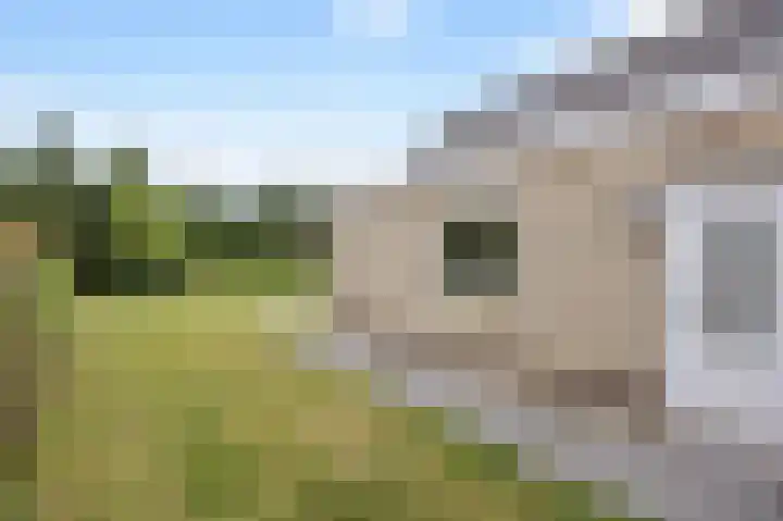 Schutteheide 1 4 Heel thumbnail 5