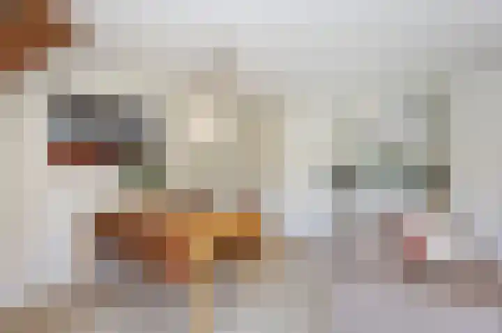 Schutteheide 1 4 Heel thumbnail 9