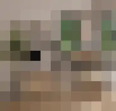 Schutteheide 1 405 Heel thumbnail 8