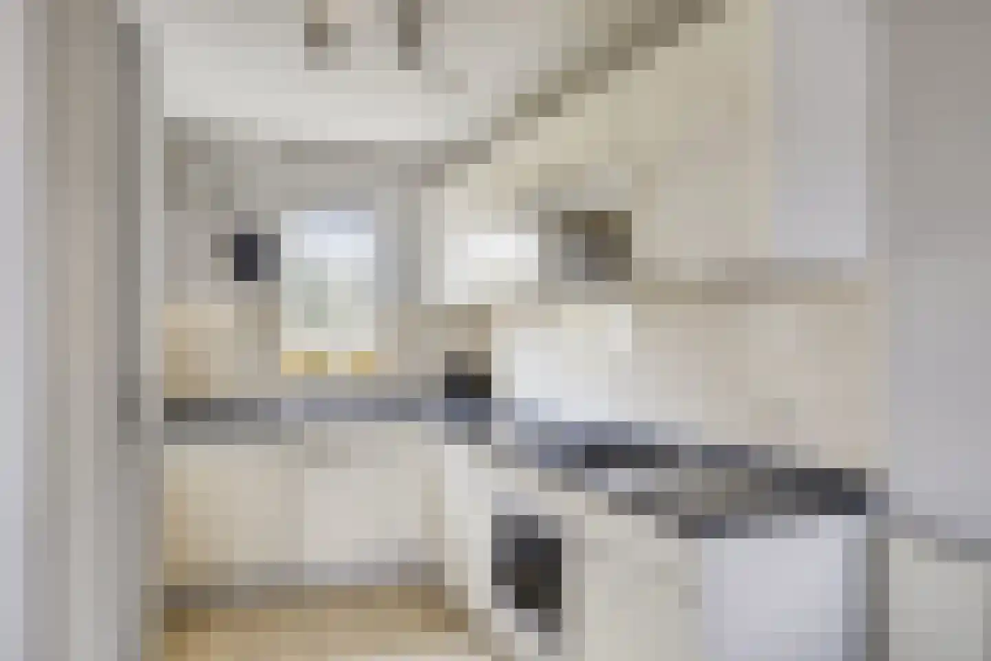 Schutteheide 1 41 Heel thumbnail 11