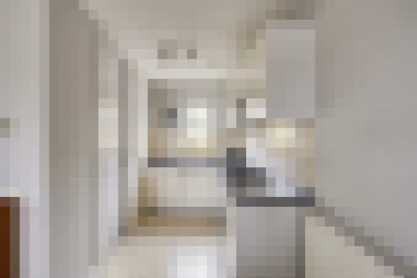 Schutteheide 1 41 Heel thumbnail 12